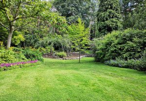 Optimiser l'expérience du jardin à Fontaine-les-Hermans